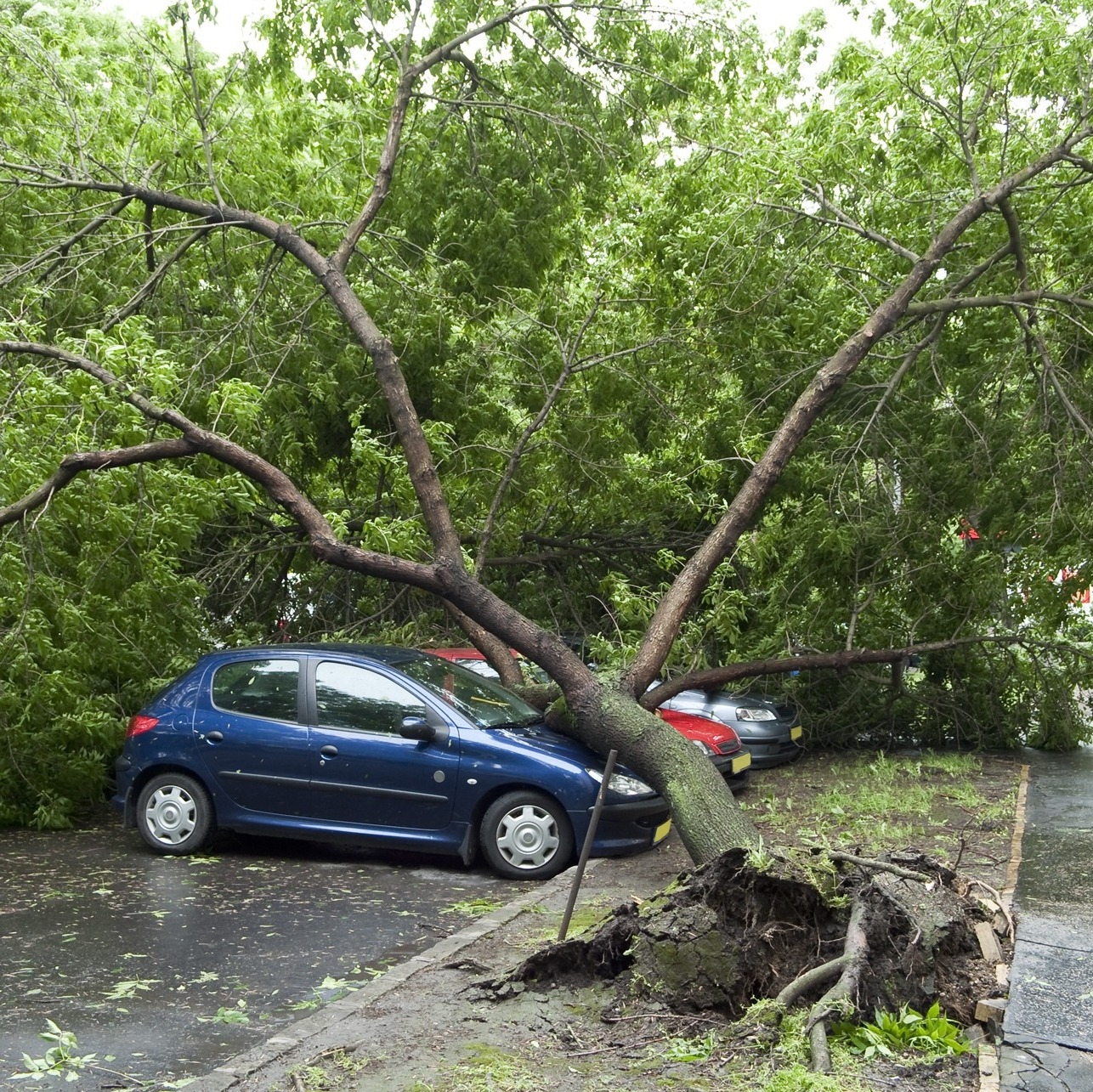 Stormschade auto